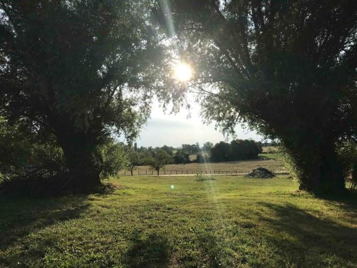 Bed and Breakfast La Grange A Outeaux Montpont-en-Bresse Экстерьер фото